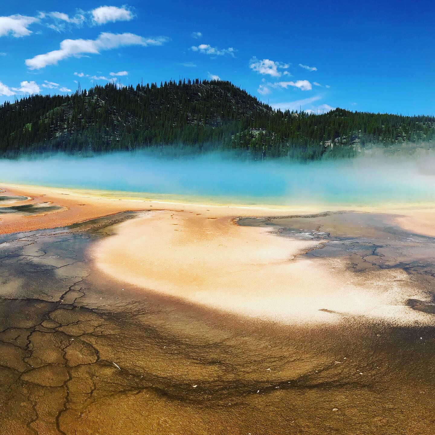 Yellowstone National Park: A Family Adventure with Once in a Lifetime Moments (Itinerary Included)